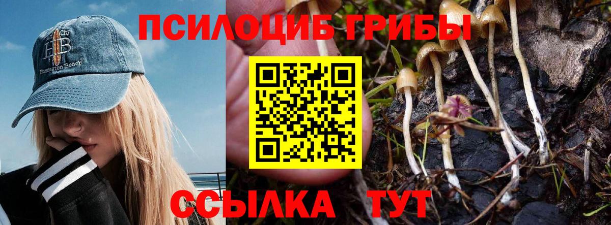Псилоцибиновые грибы MAGIC MUSHROOMS  Псилоцибиновые грибы прущие грибы  Сальск  Вход с VPN 